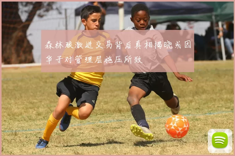 森林狼激进交易背后真相揭晓或因华子对管理层施压所致
