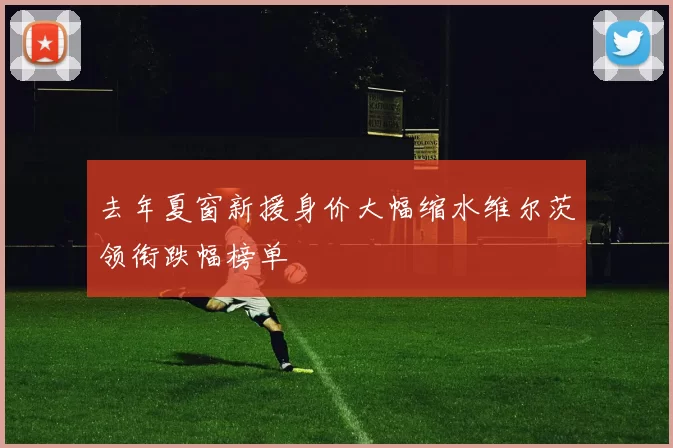 去年夏窗新援身价大幅缩水维尔茨领衔跌幅榜单